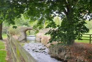 A Natural Treasure: Woodstock Stream